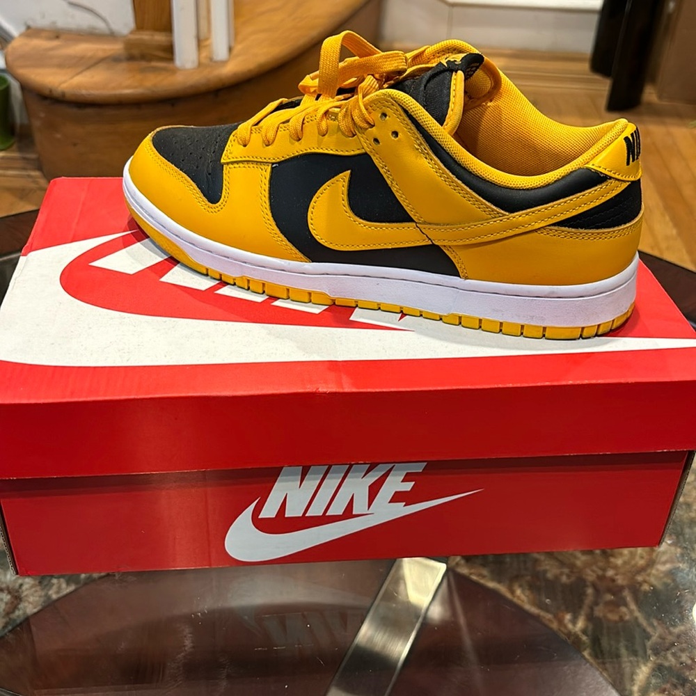 Nike Dunk Sneakers